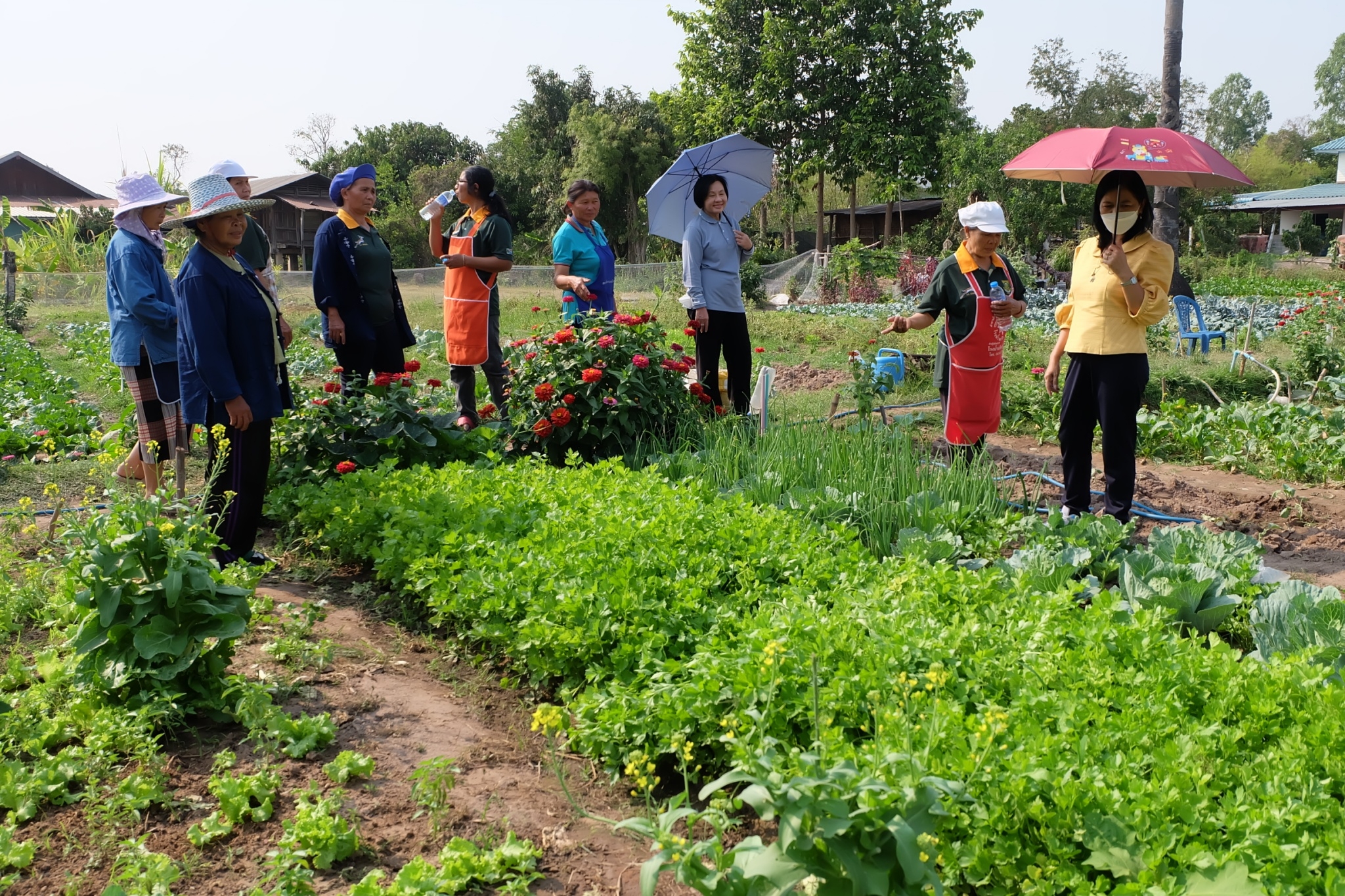title - ผู้ตรวจราชการกรม ประชุมติดตามผลการดำเนินงานตามแผนการตรวจราชการส.ป.ก. ประจำปีงบประมาณ พ.ศ. 2566 รอบที่ 1 เขตตรวจราชการที่ 12 จังหวัดขอนแก่น